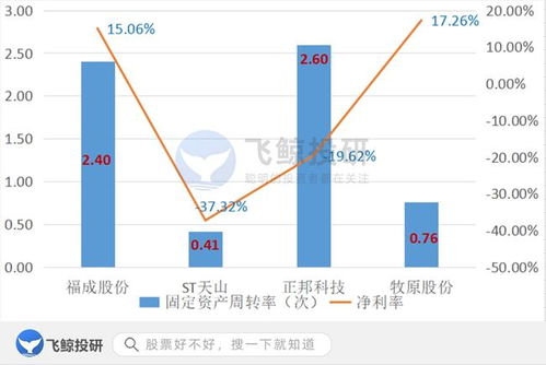 排雷必備 巧用固定資產篩選企業，優化企業資產管理