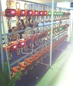 海南電子吊秤廠家直銷 精準、可靠、高效的稱重解決方案